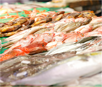 旬の海産物を豊富にご用意